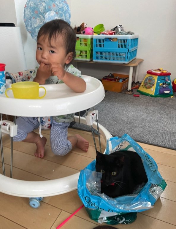 提供：ゴンゾウR4さん