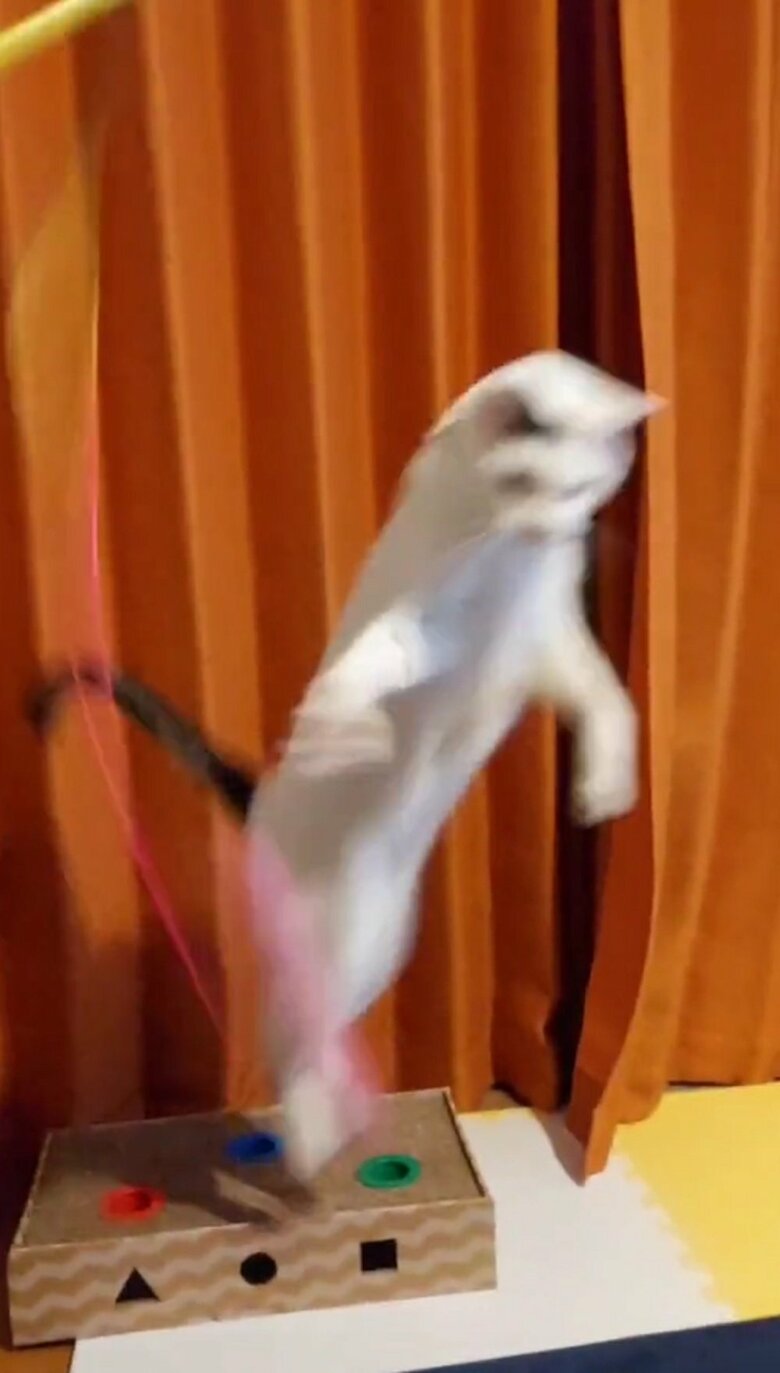 ぴょんと後ろ足だけの力でジャンプ！