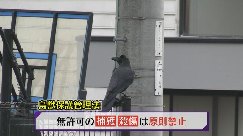 「鳥獣保護管理法」も踏まえた対策が必要