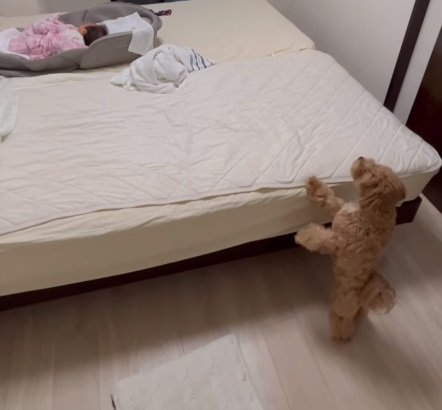 鼻を上に向けてクンクン