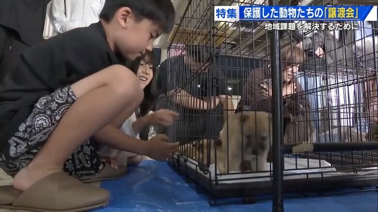 広島市南区のマツダ体育館で開かれた譲渡会