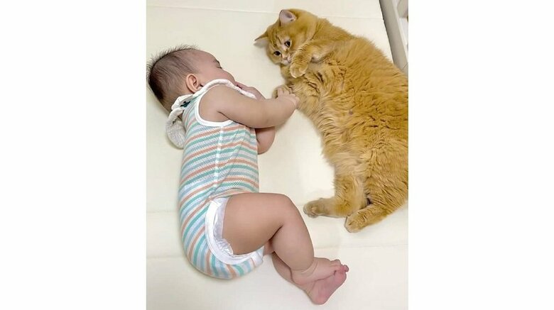 普段からイチャイチャしているというこまるくんと息子さん