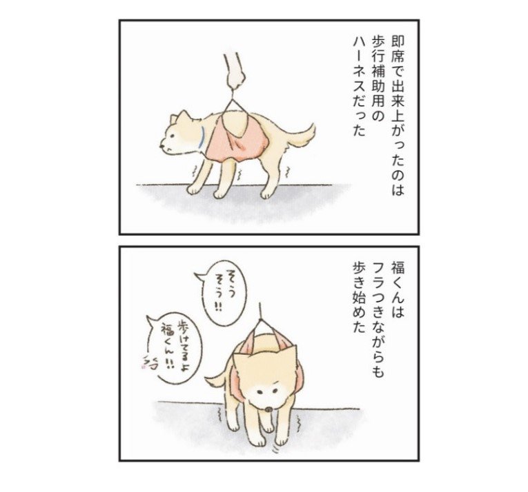 『たまさんちのホゴイヌ2』（世界文化社）より