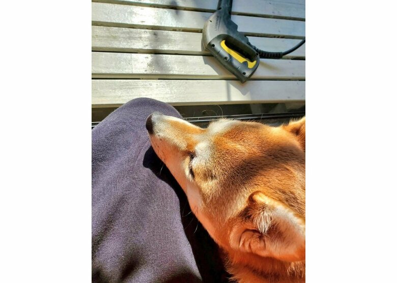 提供：あおとはなさん