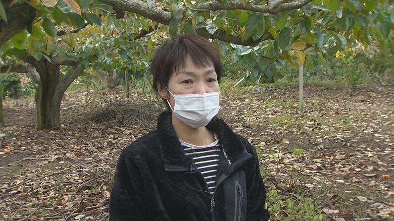 柿農家 荒井和代さん