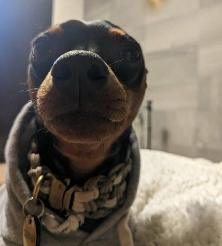 至近距離でじっと見つめてきている