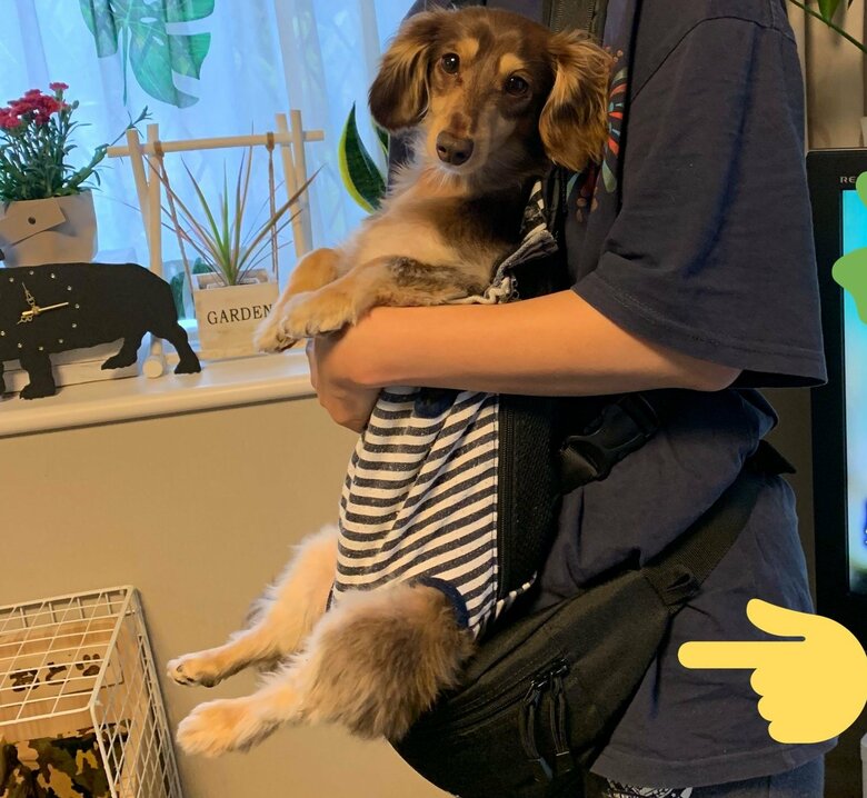 食べ物が逆流しないよう、抱っこ紐で縦抱きすることも