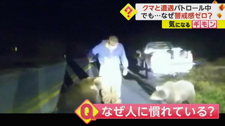 （Okaloosa County Sheriff's Office ）