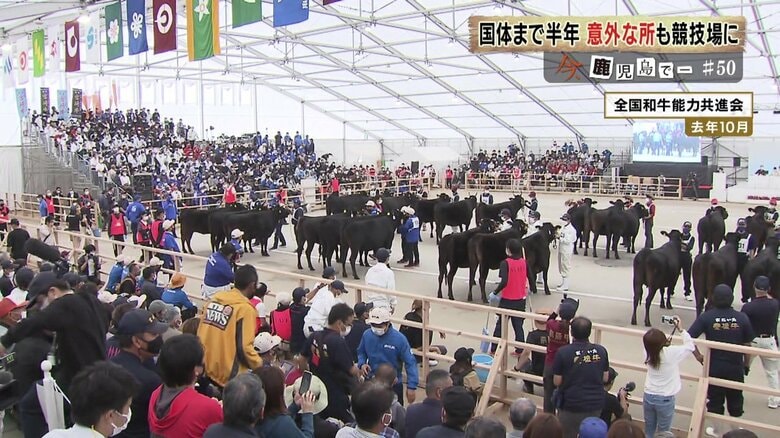 2022年の全国和牛能力共進会の様子