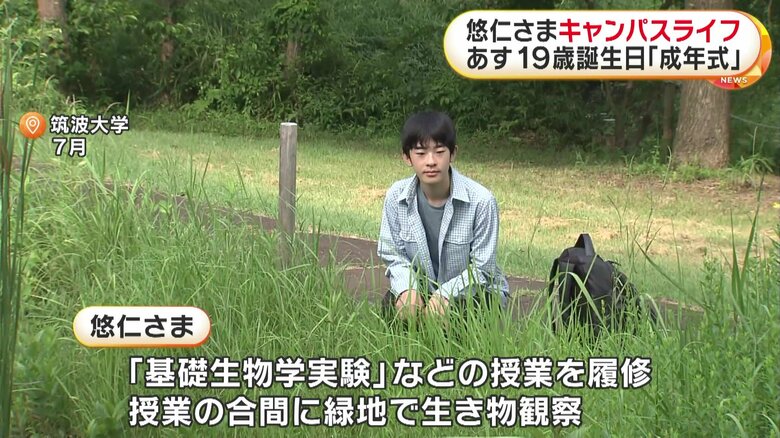 授業の合間に緑地で生き物観察される悠仁さま（2025年7月）