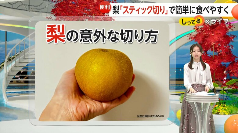 スティック状にすると、美味しい部分を余すことなく食べられる梨
