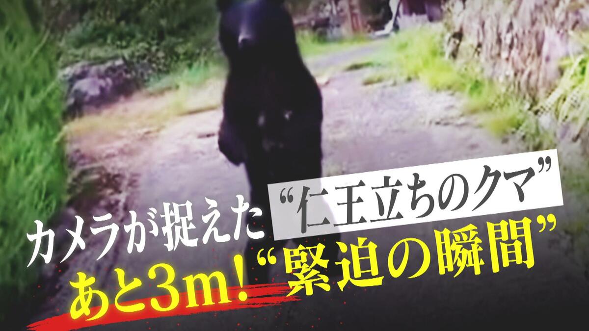 目の前3m！カメラが捉えた“仁王立ちのクマ” 緊迫の動画終了後に何が起きていたのか？新聞配達員と近隣住民が体験した恐怖｜FNNプライムオンライン