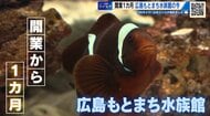 広島もとまち水族館オープン１カ月　アカウミガメなど『いきものたち』は順調に成長　健康診断をツイセキ