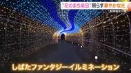 「光の華」咲き誇る　船岡城址公園でイルミネーション　５０ｍのトンネルも〈宮城・柴田町 〉