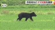 クマ目撃ペースすでに2023年上回る ブナの実凶作に暖冬影響 4割が市街地で…県が対策会議で対応確認【山形発】