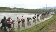 2019年台風で被災の地区で親子で田植え体験　復旧が一段落し市民との交流で地域活性化目指す　これから草取りや稲刈りも体験　秋にはまつたけご飯に