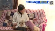 県内初の「聴導犬」　デビューまでの道のりに密着　音のない世界で暮らす人を支える　広島