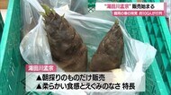 【山形】約100人が行列　待ち遠しい春の味覚「湯田川孟宗」販売始まる　鶴岡市