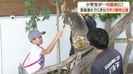 「将来の夢に飼育員も入れる！」鹿児島市・平川動物公園で小学生が一日園長　エサやりに苦労も大きな経験に