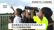 宮古島市の伊良部島でサシバの飛来調査