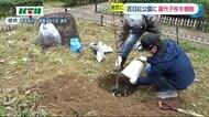 諫早の原爆犠牲者を悼もうと…「嘉代子桜」を植樹