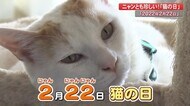 今年の2月22日は2が6つ並ぶ “スーパー猫の日” 貴重な瞬間もネコは・・・【高知】