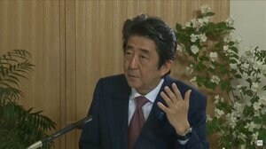 「公平・独立・包括的な...」 安倍首相 WHO対応の検証提案へ
