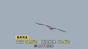 海王バードパークで探鳥会