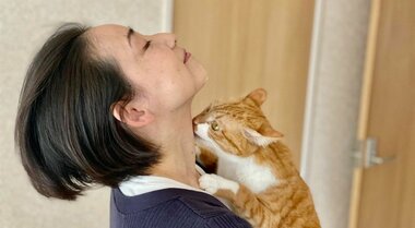 元ITエンジニアの女性起業家が開発した犬猫用かんたん健康ケア食品「ジュレッタ」1年目の挑戦
