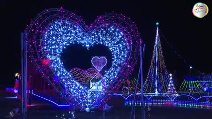 コスモスの名所が約１５万個のＬＥＤで“ハート広場”に　北房コスモス広場で冬のイルミネーション【岡山】