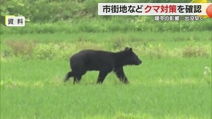クマ目撃ペースすでに2023年上回る　ブナの実凶作に暖冬影響　4割が市街地で…県が対策会議で対応確認【山形発】