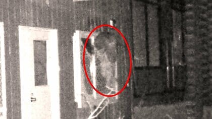 【円山公園が全面閉鎖】クマの出没相次ぎ緊張高まる…夜の円山動物園で窓枠によじ登る姿 住宅街で雪上に残る無数の足跡 北海道神宮の境内も夜間閉鎖_住民はクマよけスプレー携帯 不安広がる