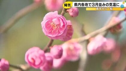 受験生たちの難関突破を祈願…全日空が『特大絵馬』を小松市の安宅住吉神社に奉納 願い札1350枚と共に