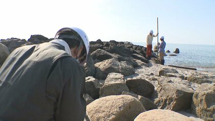 新潟市の津波30cmではなく1m!? 専門家が現地調査｢予想より高い津波が押し寄せる可能性がある｣