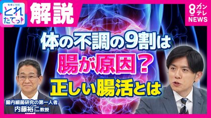 老眼からうつ病まで9割の不調に「腸」が関係？　「脳のない生物はある。でも腸のない生物はいない」腸内細菌研究の第一人者が教える「正しい腸活」