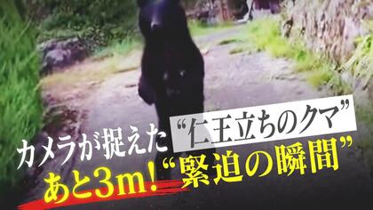 目の前3m！カメラが捉えた“仁王立ちのクマ” 緊迫の動画終了後に何が起きていたのか？新聞配達員と近隣住民が体験した恐怖