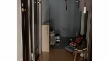 「可愛いけどホラー」猫が飼い主の外出を察知し玄関で“無言の圧力”…いつもこうなのか聞いてみた