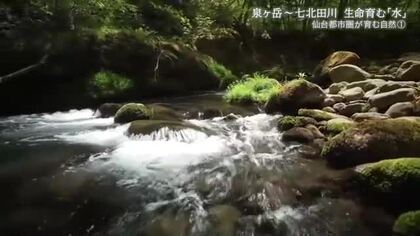 シリーズ仙台都市圏が育む自然（１）　泉ヶ岳から仙台湾へ　七北田川の恵みと人々の営み