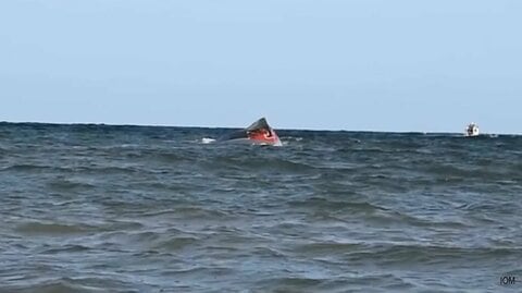 ジブチ沖で移民船転覆 少なくとも139人死亡・84人行方不明　