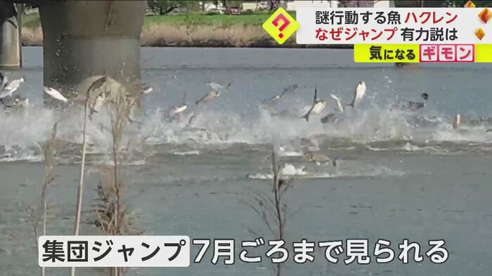 (FNN投稿サイト「ビデオPost」)