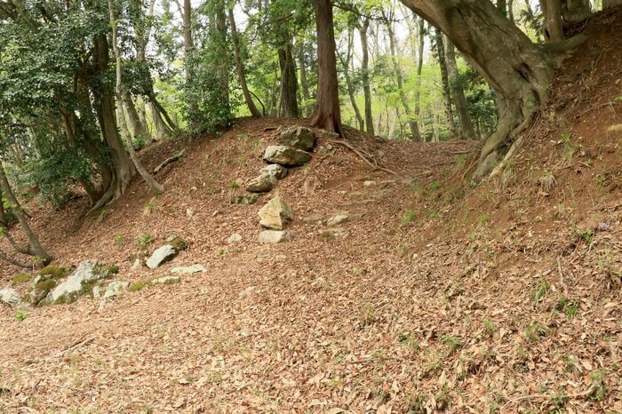 京極丸には見応えある高土塁もある