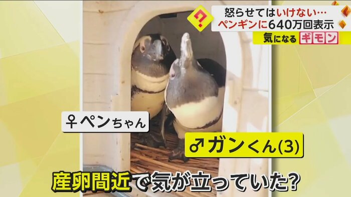 (劇団ペンターズ イマイケルさん提供)