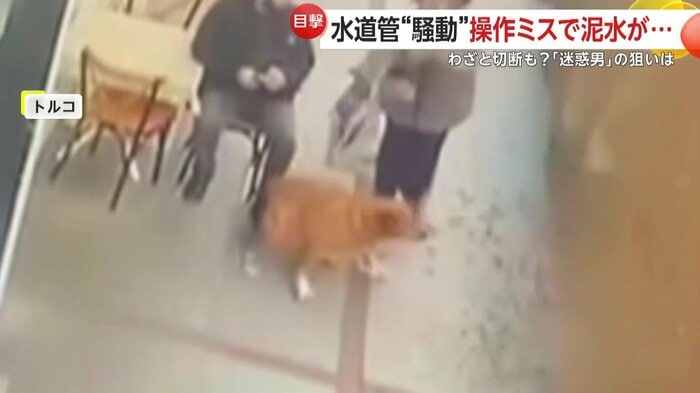 吹き上がる水に驚く通行人と犬（IHA）
