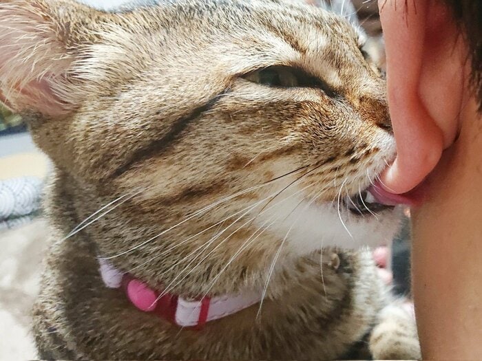 お父さんの耳たぶを吸って甘えている時の表情