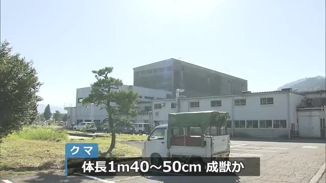 駆除されたのは成獣か