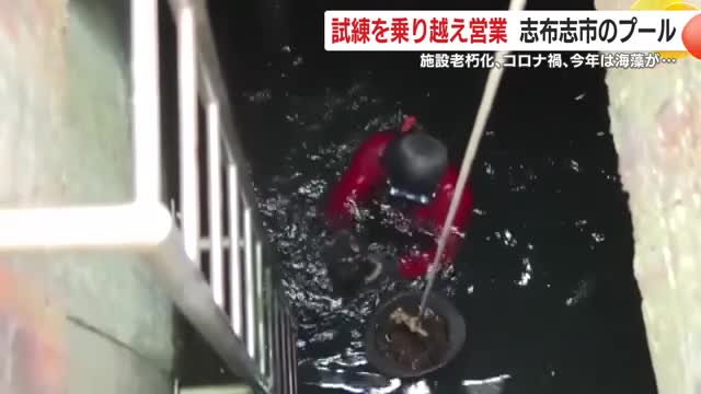 水の中から海藻を回収する谷口さん