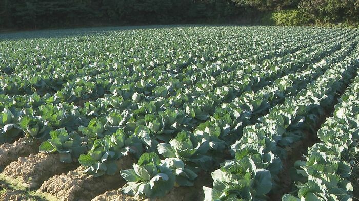 ニュースONE