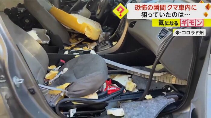 クマに荒らされ、グチャグチャな車内(CPW NE Region)
