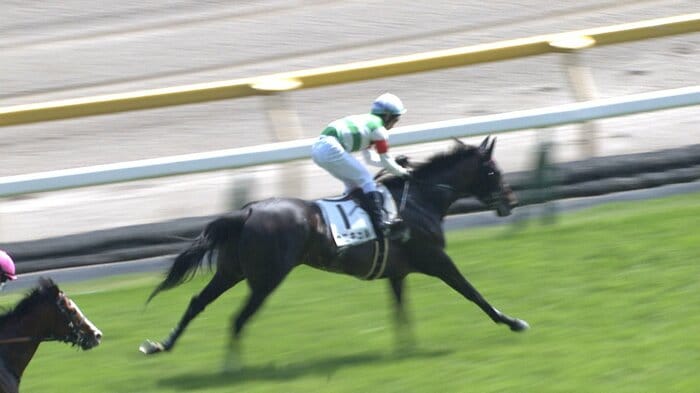 4歳以上2勝クラスを制したカニキュル