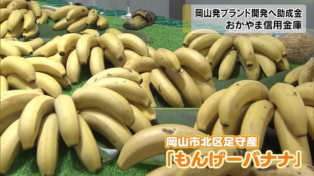 新たなブランドの開発へ…おかやま信用金庫が最大100万円 助成制度【岡山・岡山市】
